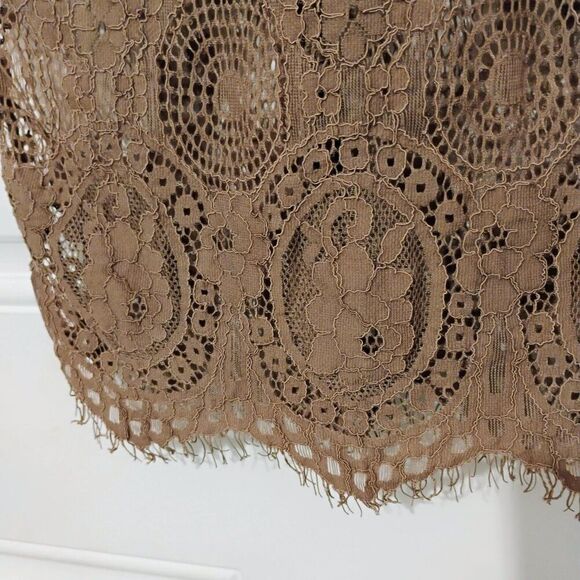 L'atiste Dress Victorian Lace Romantic Stretchy Sheer Panels Brown Mauve Tan S - Picture 7 of 14